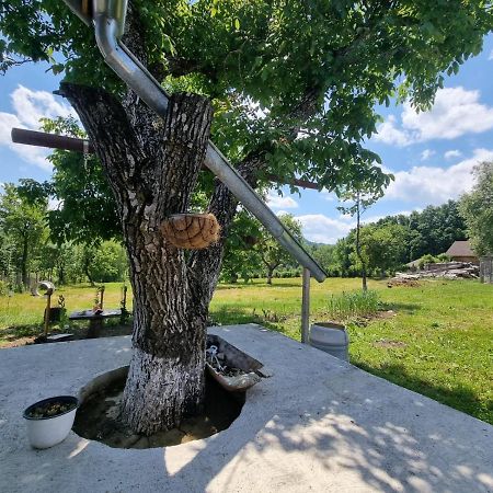 Casa Primitoare In Inima Naturii Si Padurii Rasca  Exteriör bild