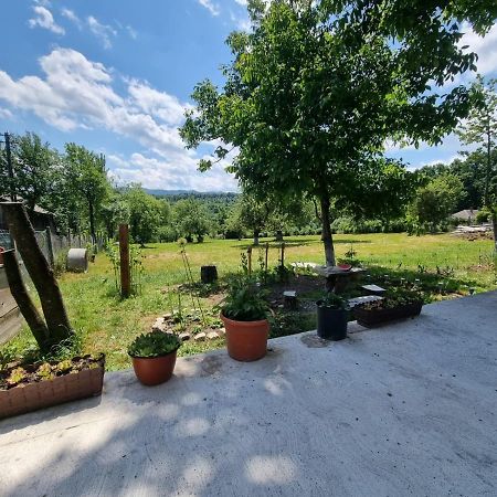Casa Primitoare In Inima Naturii Si Padurii Rasca  Exteriör bild