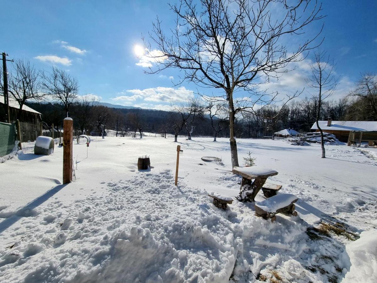 Casa Primitoare In Inima Naturii Si Padurii Rasca  Exteriör bild
